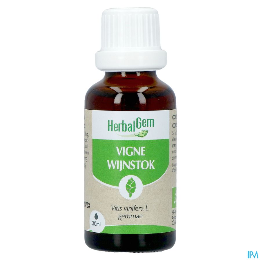 Herbalgem Wijnstok Maceraat Bio 30ml